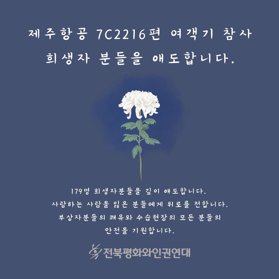 제주항공 7C2216편 여객기 참사 희생자 분들을 애도합니다와 함께 국화 그림이 있는 이미지